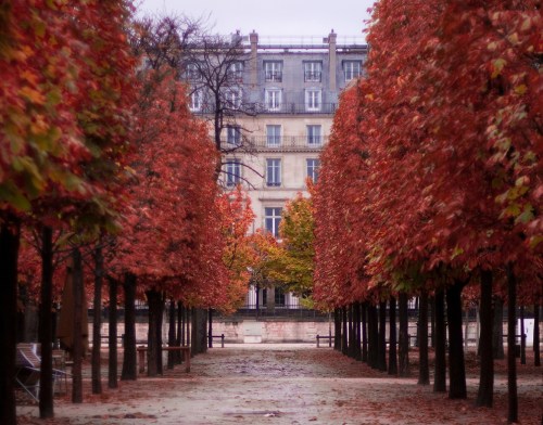 Paris-in-October