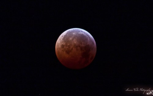 Lunar Eclipse 2010