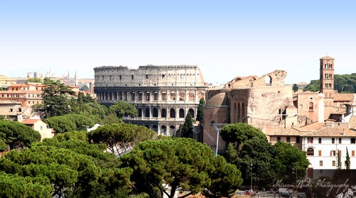 the colosseum