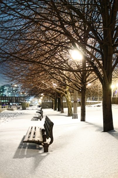 n746135233_5171231_7865