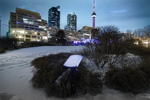 n746135233_5171233_8497