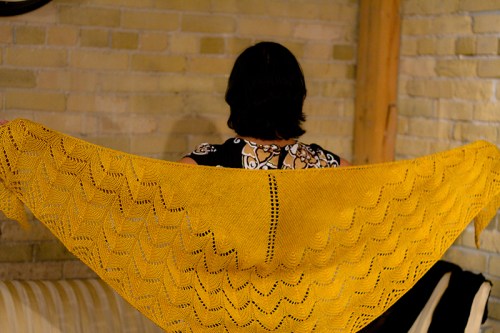 travelling woman shawl