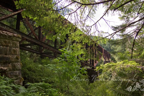 Goldstream National Park