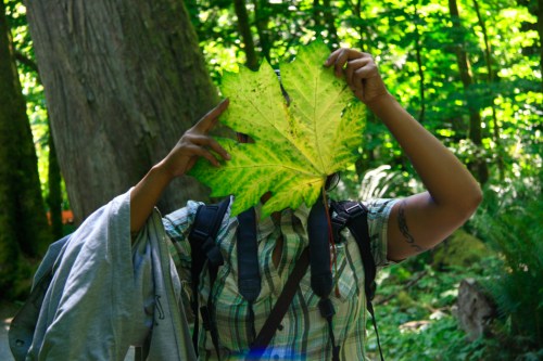 Goldstream National Park