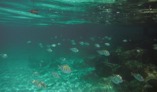 Fuji Finepix XP30 Fuji Finepix XP30