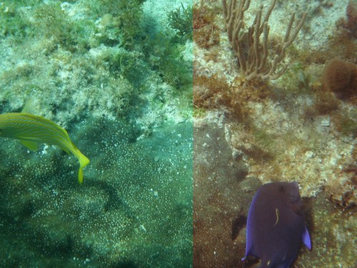 Fuji Finepix XP30 Fuji Finepix XP30