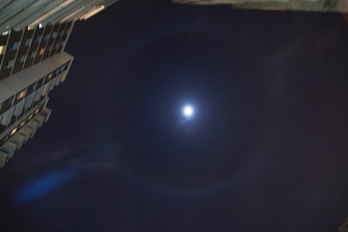 moon halo