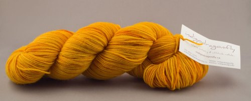 Indigodragonfly