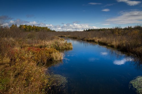 Manitoulin Island ©Shireen Nadir 2012 Manitoulin Island ©Shireen Nadir 2012