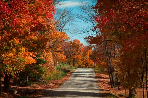 Manitoulin Island ©Shireen Nadir 2012 Manitoulin Island ©Shireen Nadir 2012