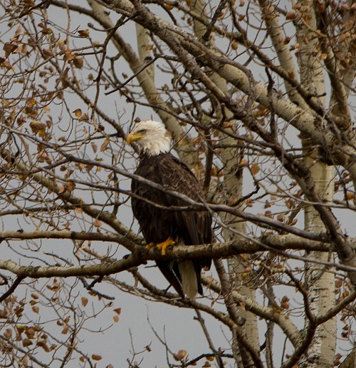 Highway 11 ©Shireen Nadir 2012 Highway 11 ©Shireen Nadir 2012