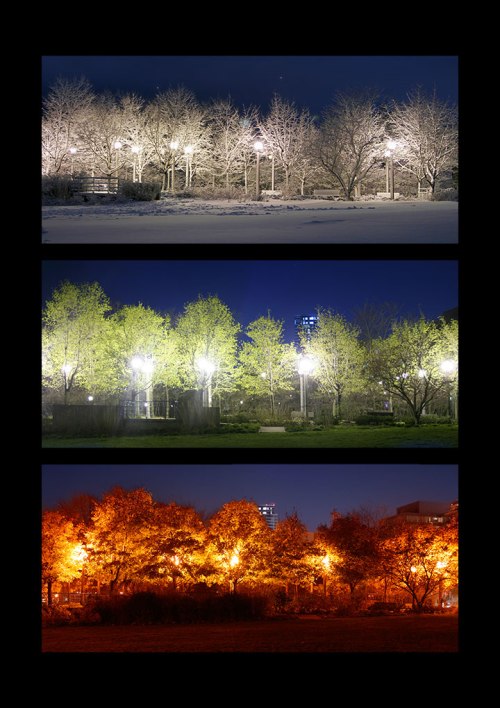 the-seasons ©Shireen Nadir 2012