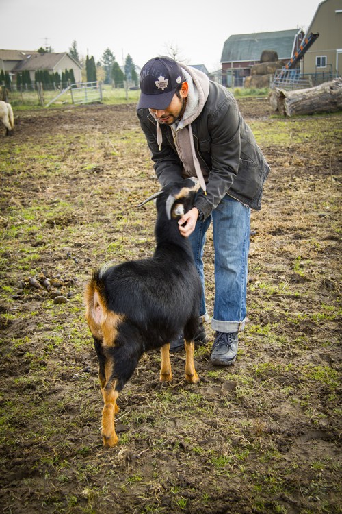 Gryphon Ridge Highland ©Shireen Nadir