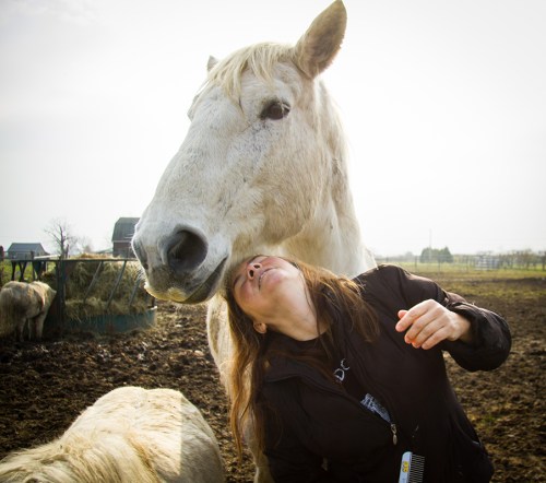 Gryphon Ridge Highland ©Shireen Nadir 2012