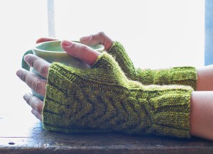 Los Guantes De Claudia ©Shireen Nadir 2012