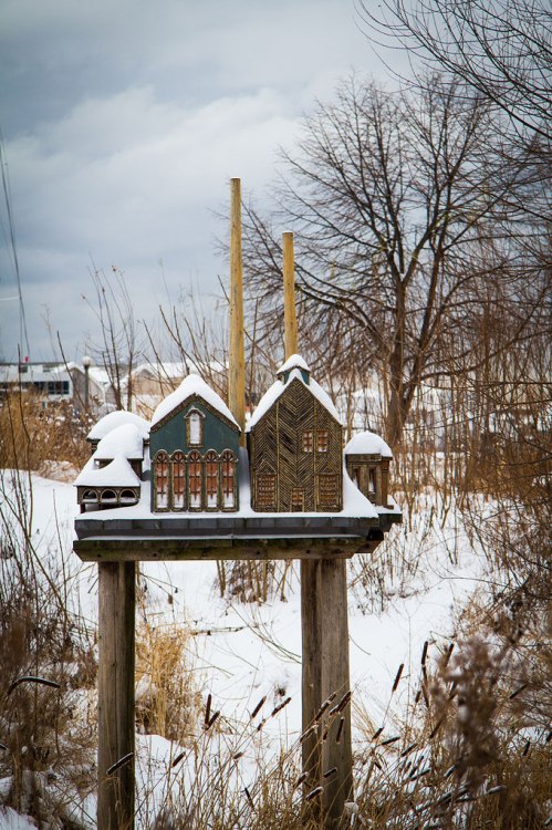 Winter in the Music Garden ©Shireen Nadir 2012