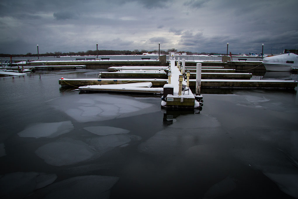 Winter in the Music Garden ©Shireen Nadir 2012
