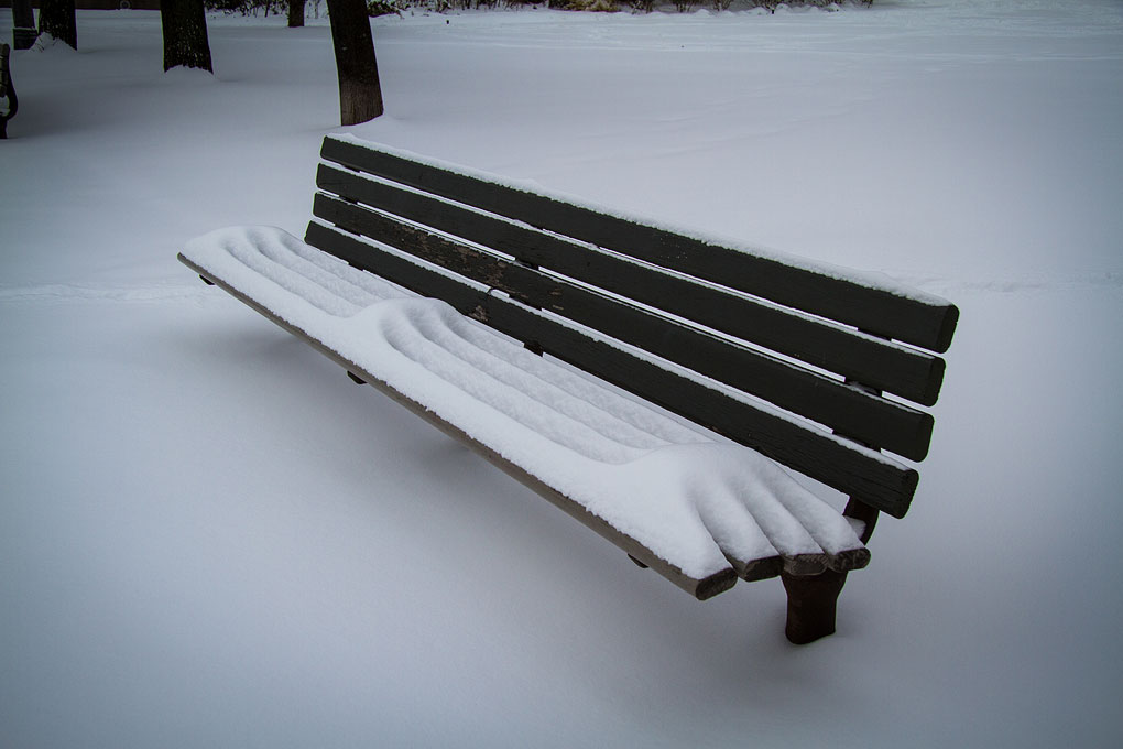 Winter in the Music Garden ©Shireen Nadir 2012