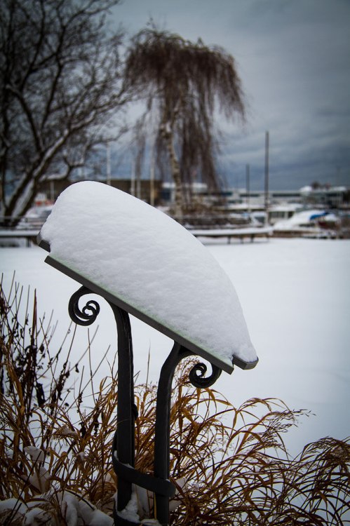 Winter in the Music Garden ©Shireen Nadir 2012