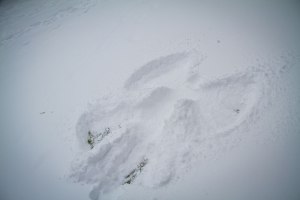 Winter in the Music Garden ©Shireen Nadir 2012