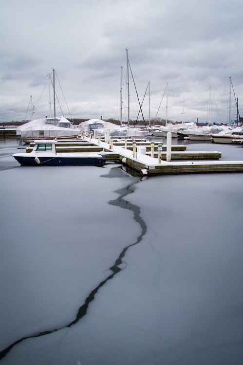 Winter in the Music Garden ©Shireen Nadir 2012