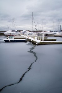 Winter in the Music Garden ©Shireen Nadir 2012