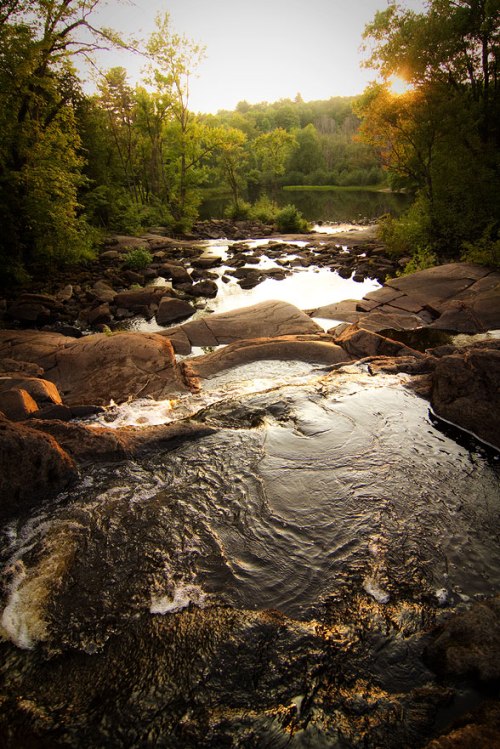 ©Shireen Nadir 2012