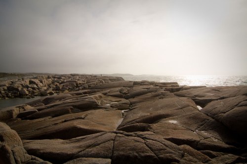 ©Shireen Nadir 2012