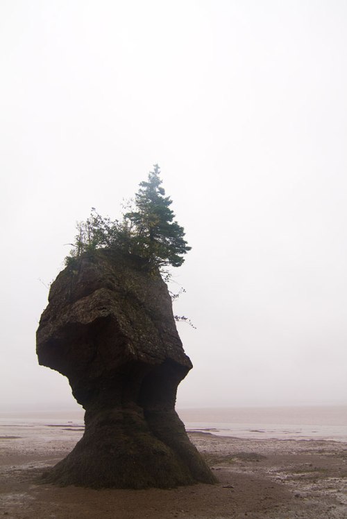 ©Shireen Nadir 2012