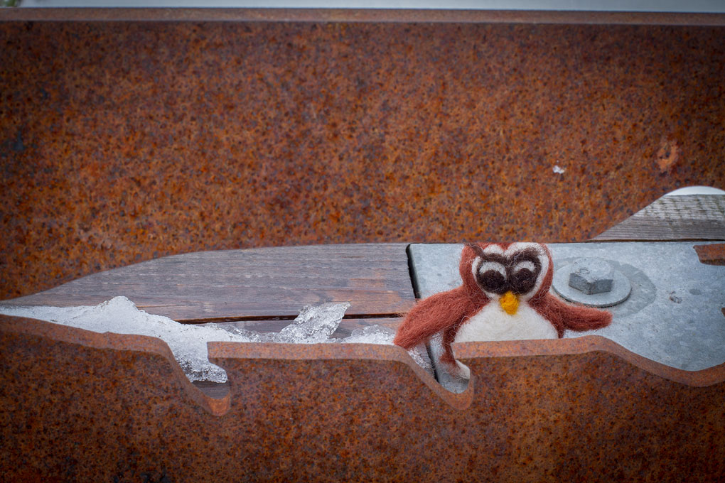 Angus and Cleo © Shireen Nadir 2013