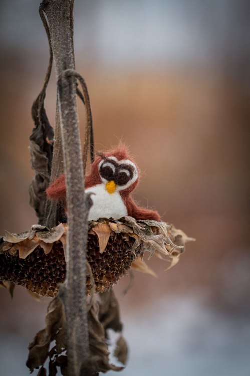Angus and Cleo © Shireen Nadir 2013