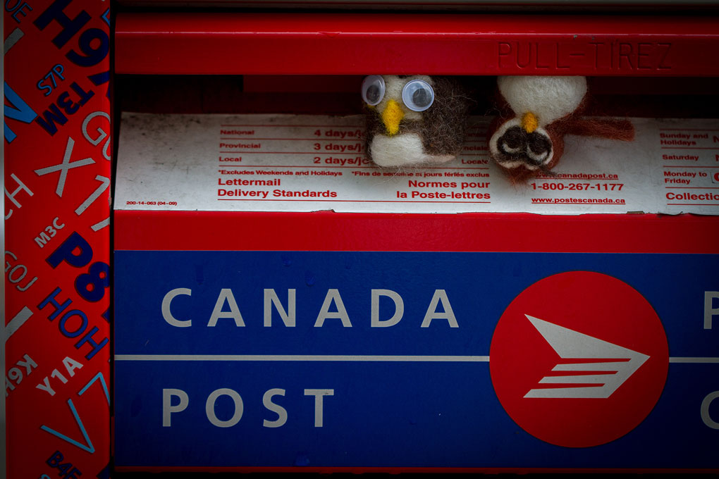 Angus and Cleo © Shireen Nadir 2013