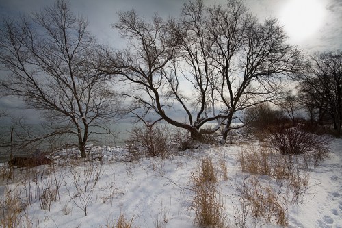 Leslie Street Spit, Toronto, Canon 7D