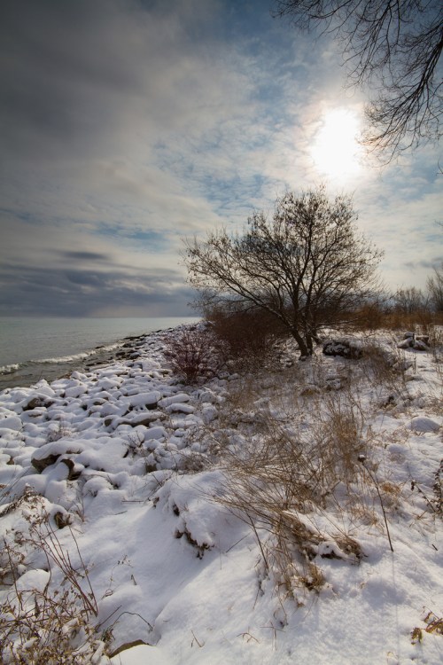 Leslie Street Spit, Toronto, Canon 7D