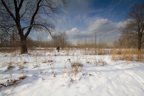 Leslie Street Spit, Toronto, Canon 7D