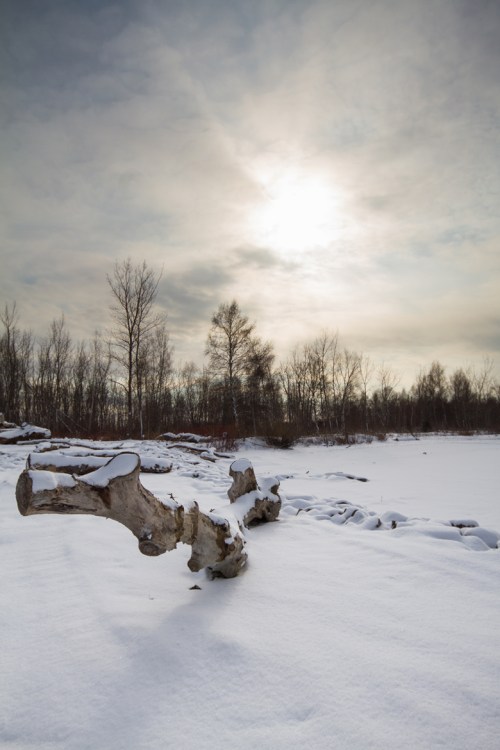 Leslie Street Spit, Toronto, Canon 7D