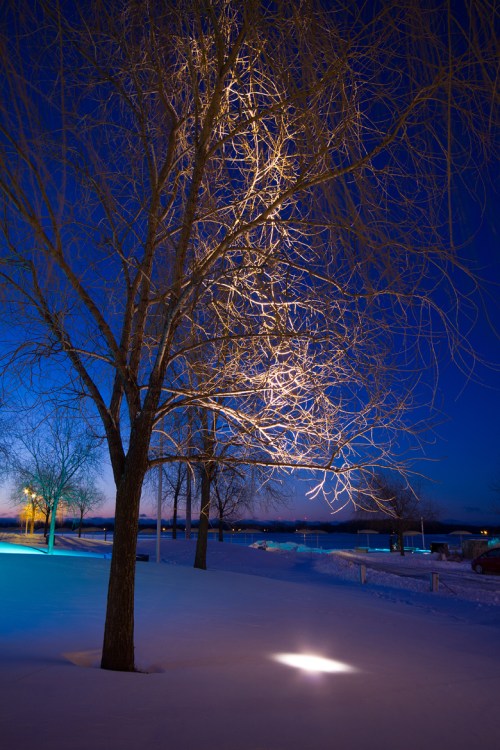 Snow, Toronto, Canada, Winter, HTO Park