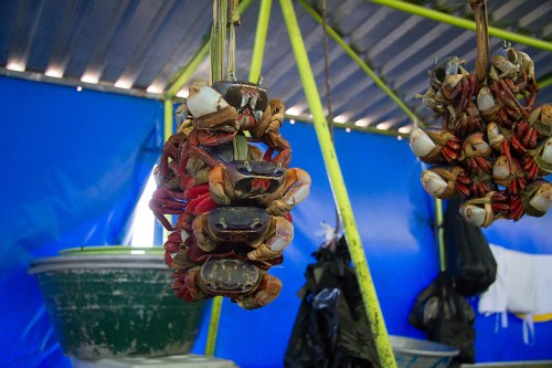 El Salvador ©Shireen Nadir 2013