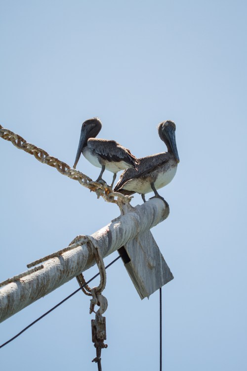 El Salvador ©Shireen Nadir 2013