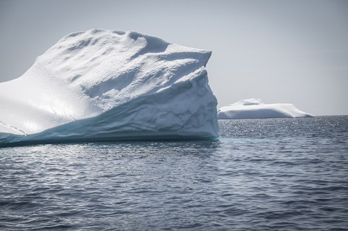 Icebergs in Newfoundland ©Shireen Nadir 2013