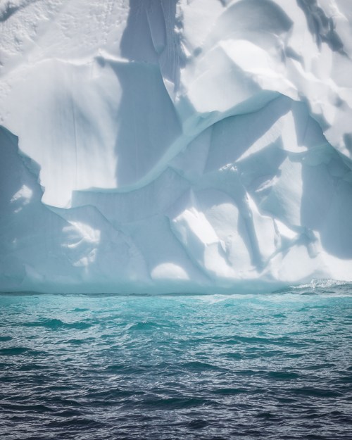 Icebergs in Newfoundland ©Shireen Nadir 2013