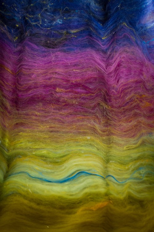 Aurora Roving ©Shireen Nadir 2013