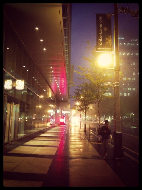 ©Shireen Nadir 2013