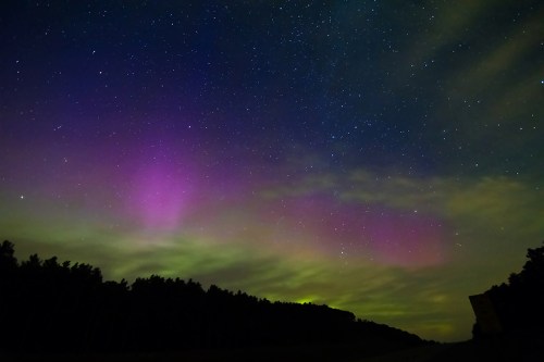 ©Shireen Nadir 2013