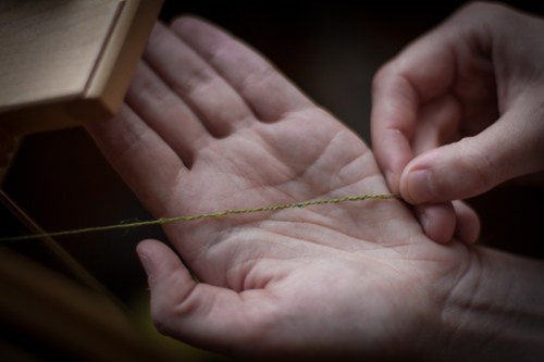 Aurora Roving ©Shireen Nadir 2013