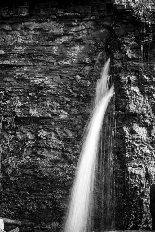 Balls Falls Conservation Area ©Shireen Nadir 2013