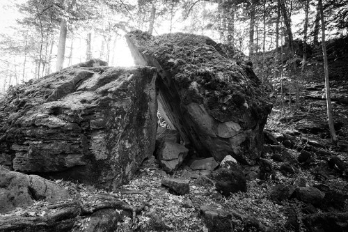 Balls Falls Conservation Area ©Shireen Nadir 2013