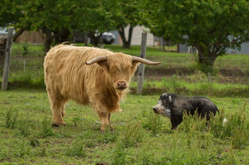 ©Shireen Nadir 2013