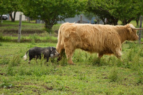 ©Shireen Nadir 2013