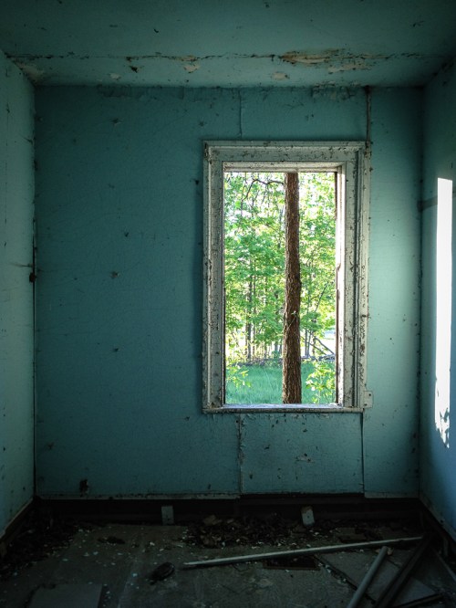 ©Shireen Nadir 2013